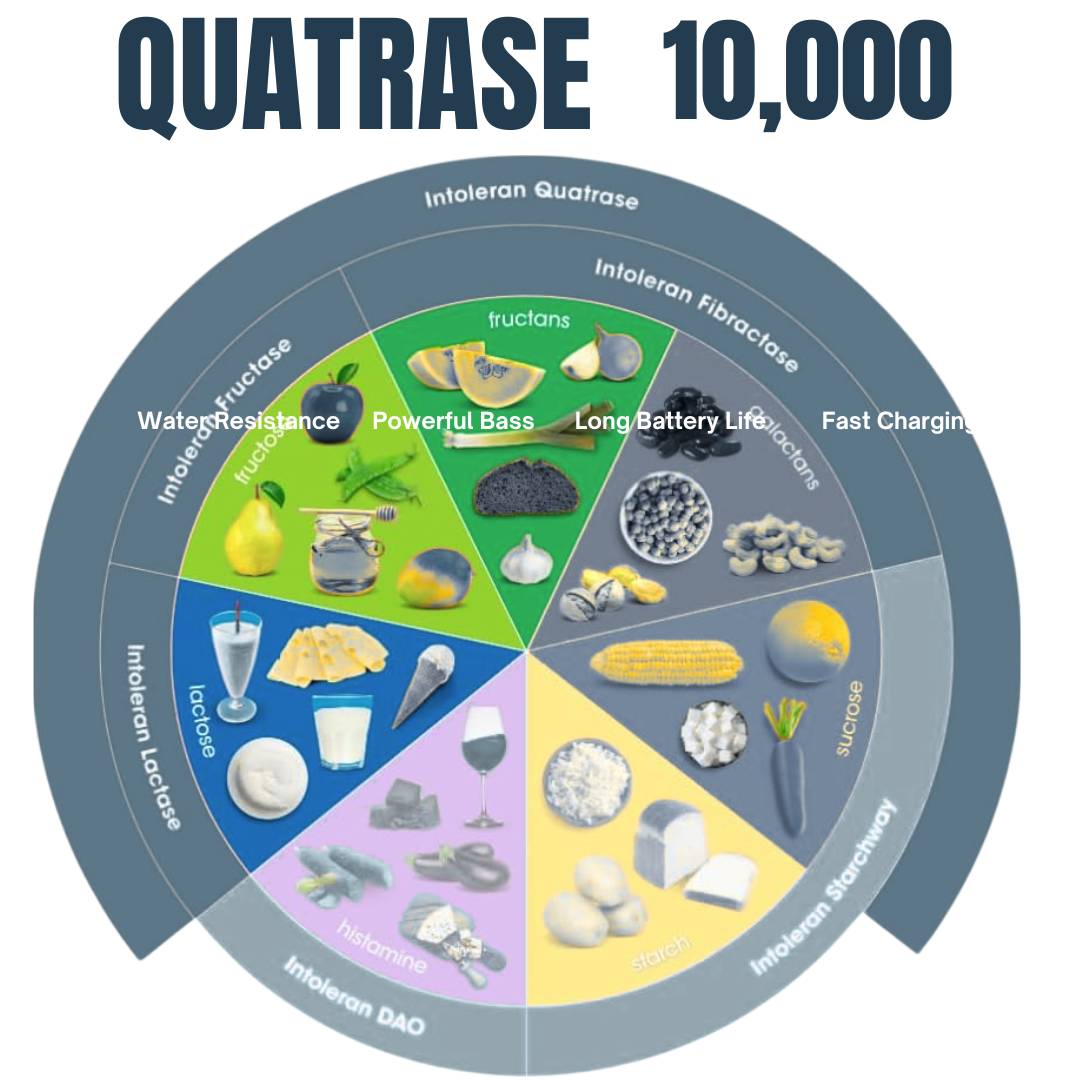 natural digestive enzymes supplement – 60 capsules | supports gut health, better digestion, nutrient absorption & energy | digestive support for men & women natural digestive enzymes supplement – 60 capsules | supports gut health, better digestion, nutrient absorption & energy | digestive support for men & women